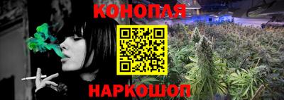 МДПВ Бийск