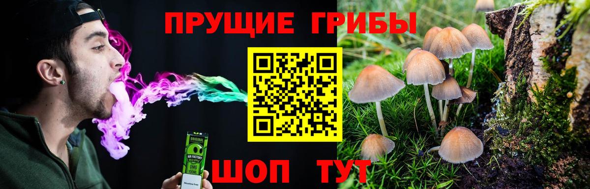 Кандалакша  Галлюциногенные грибы ЛСД  Вход с VPN 